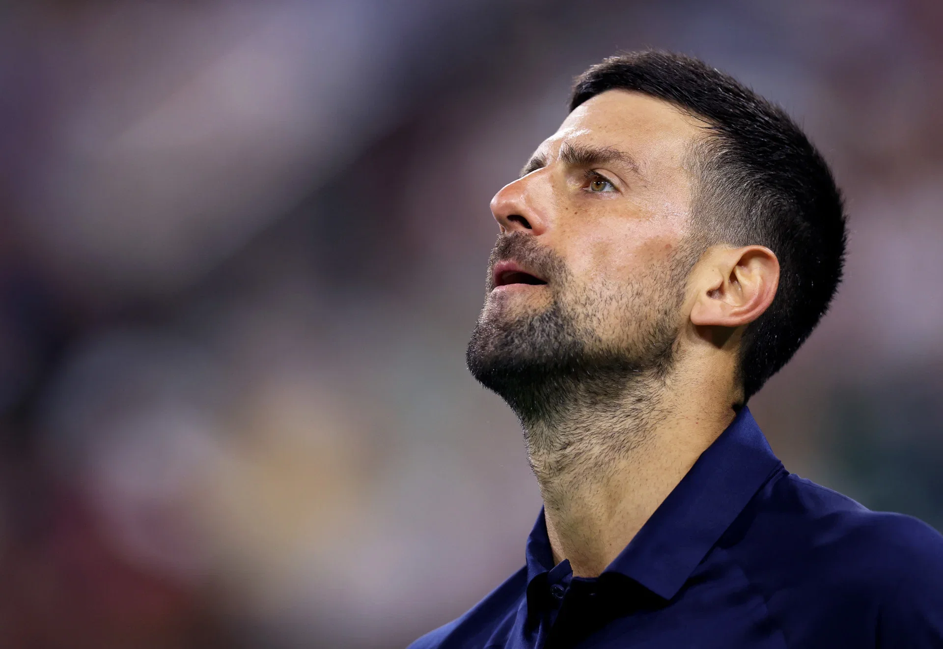 Djokovic stoppé net : une statistique rarissime après sa défaite contre Sinner