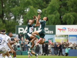 Direct. Top 14 - Montauban - Stade français : Paris en quête du top 2... Suivez la rencontre de la 24e journée