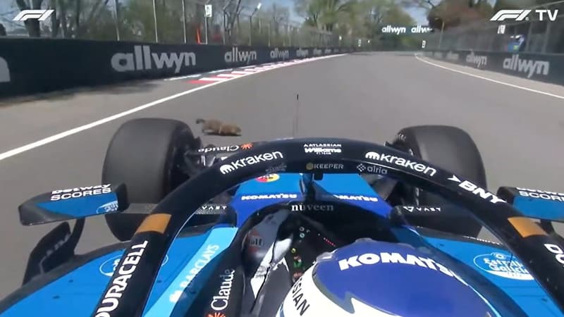 F1 (GP du Canada): l'improbable accident d'Alex Albon qui heurte un mur après avoir écrasé une marmotte