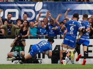 Top 14 / Champions Cup - 
